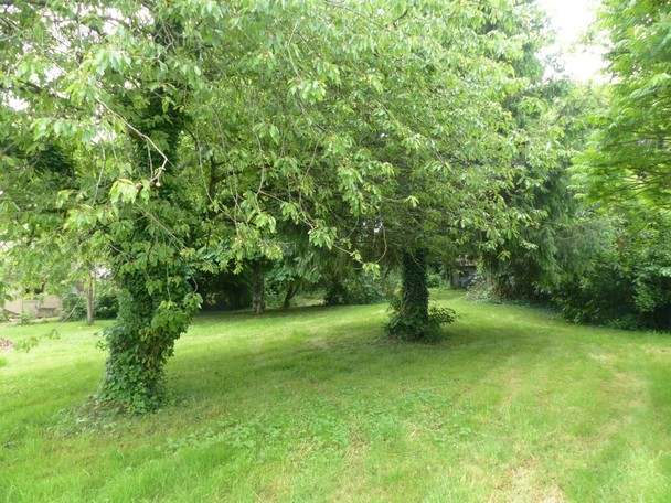 Terrain à LUSIGNAN