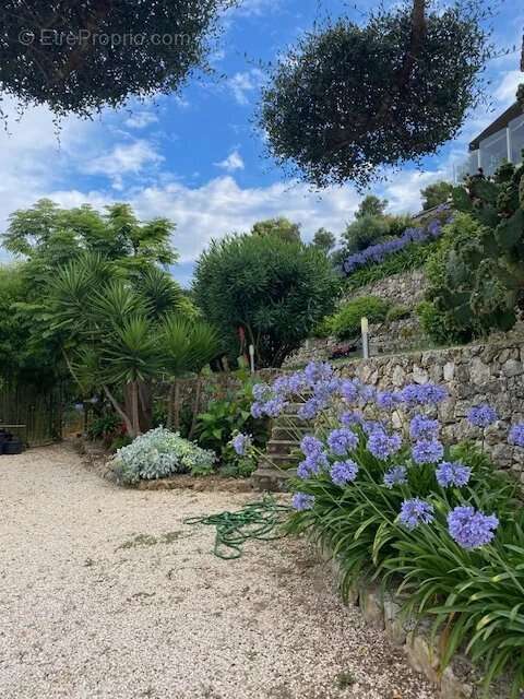 Maison à VALLAURIS