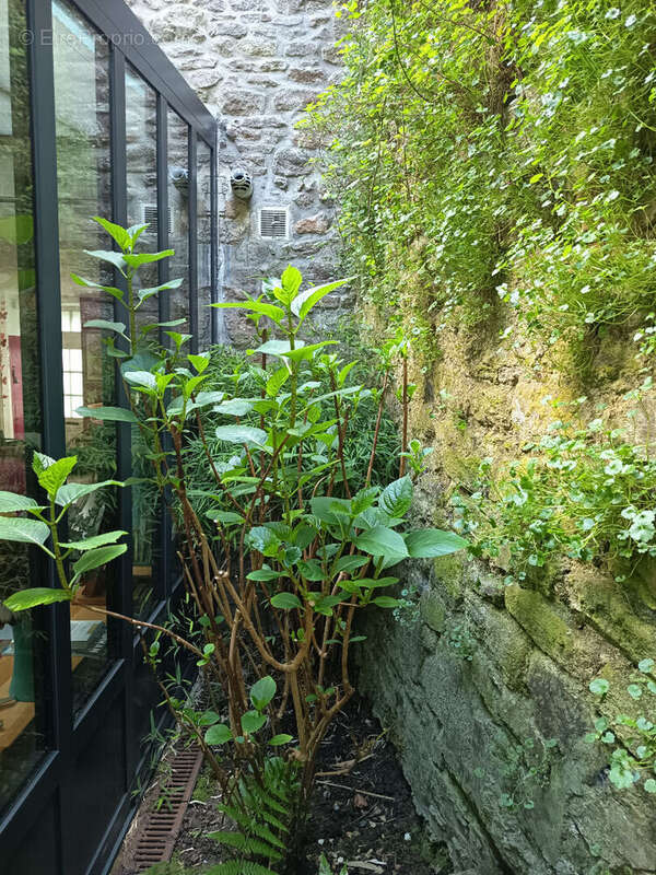 Maison à DINAN