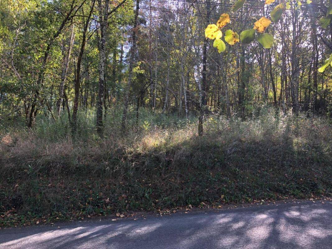 Terrain à LUZECH