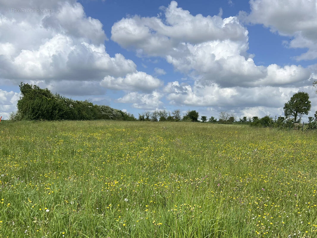 Terrain à SAINT-AUBIN-LA-PLAINE