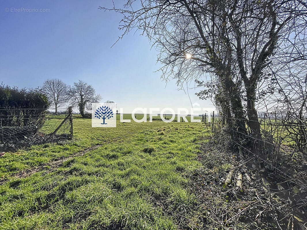Terrain à BUCHY