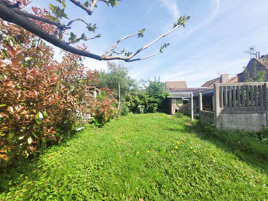 Maison à WINGLES