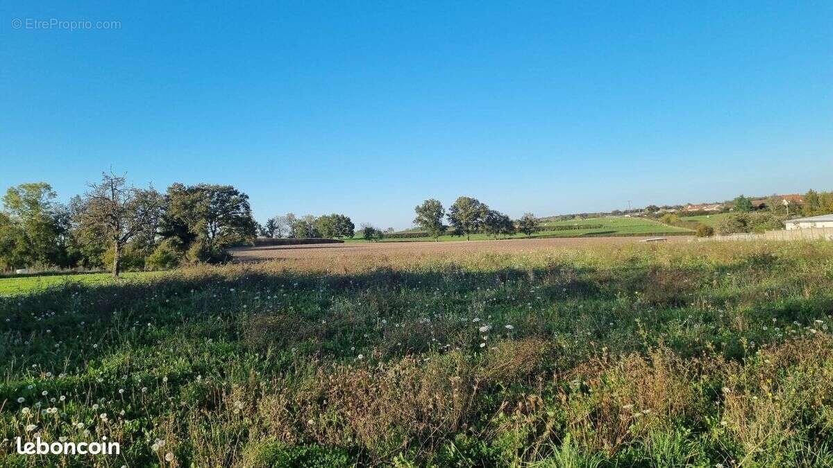 Terrain à ESPINASSE-VOZELLE