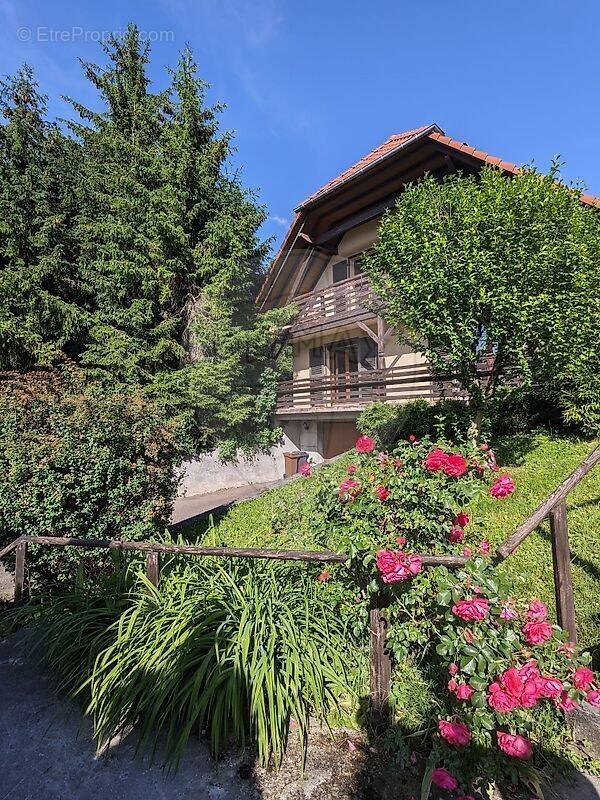 Maison à ALTKIRCH
