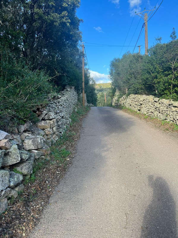 Terrain à PORTO-VECCHIO