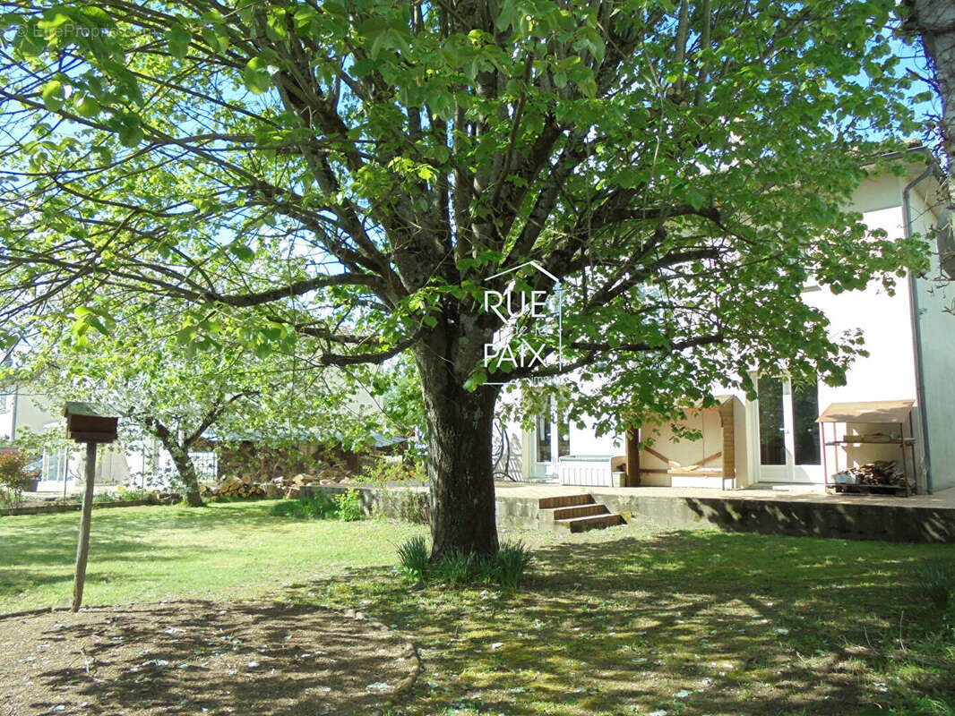 Maison à NAINTRE