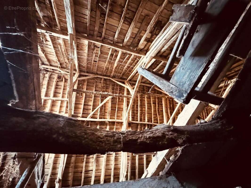 Photo 6 - Maison à BADEFOLS-D&#039;ANS
