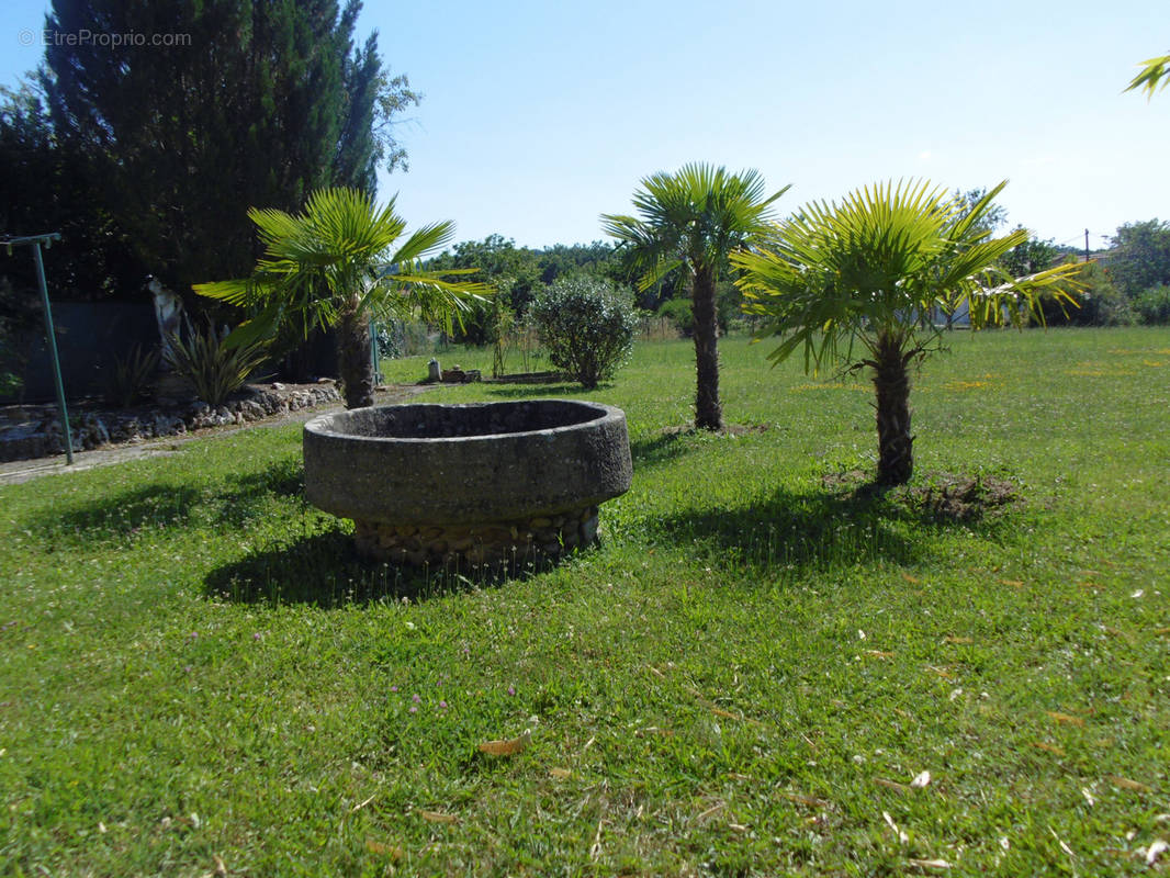 Terrain à ALBI