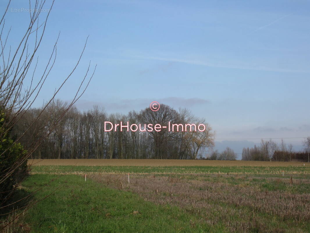 Terrain à BERSEE
