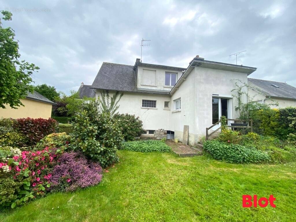 Maison à BETTON