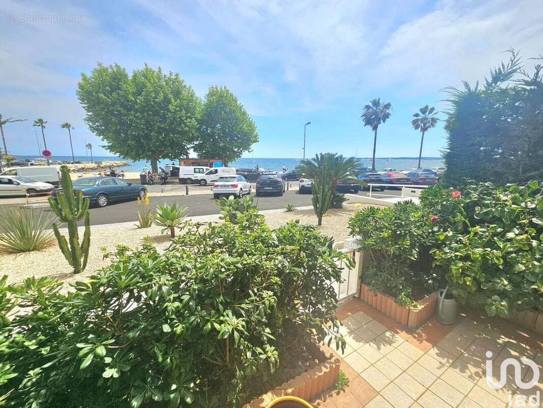 Photo 1 - Appartement à VALLAURIS
