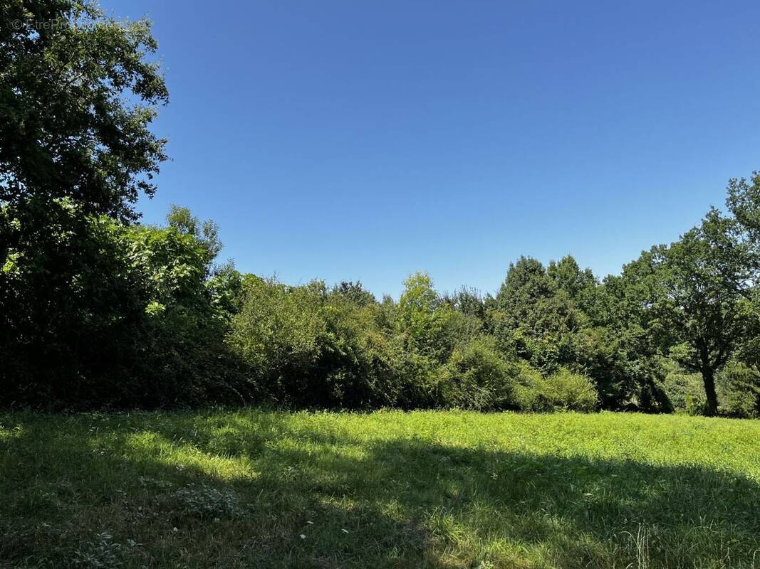 Terrain à SAINT-ASTIER
