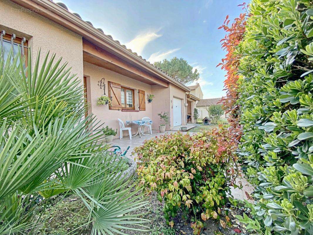 Maison à MURET