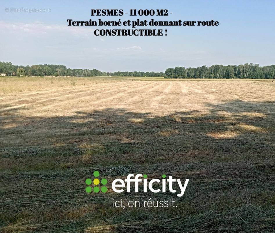 Terrain à PESMES