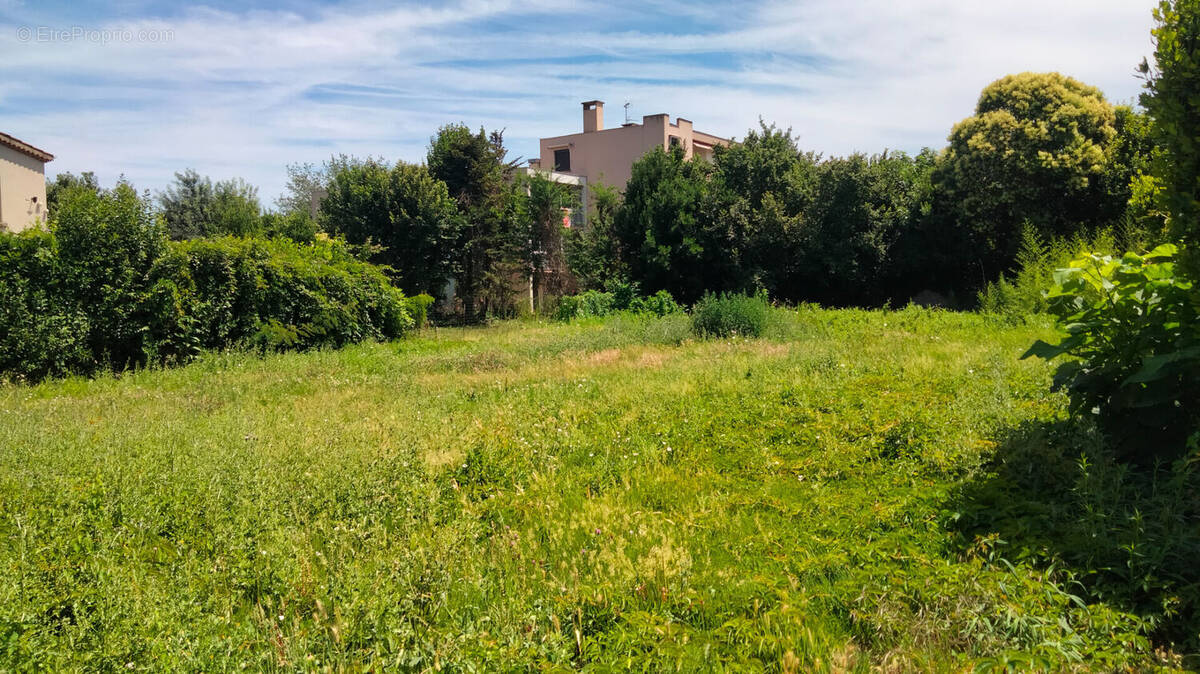 Terrain à LE TEIL