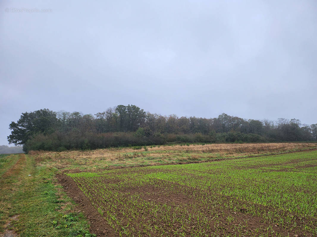 Terrain à HANCHES