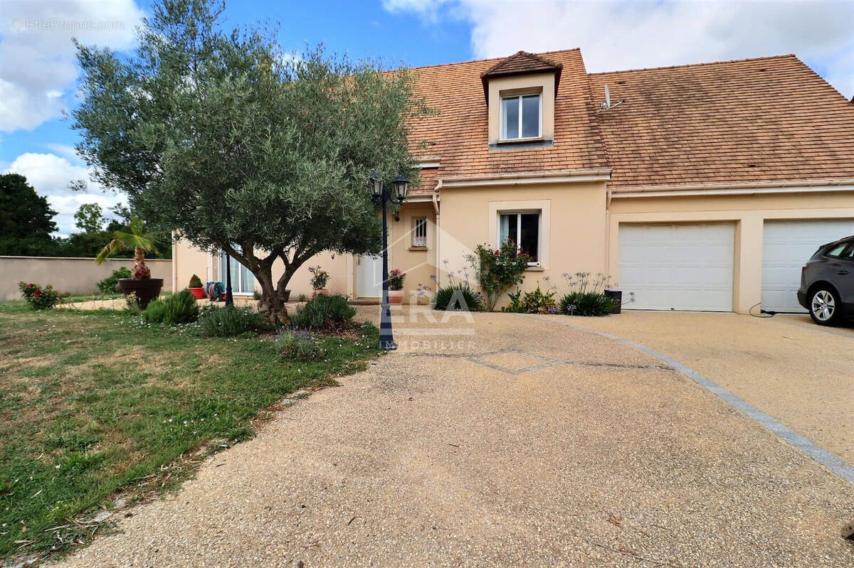 Maison à MORIGNY-CHAMPIGNY
