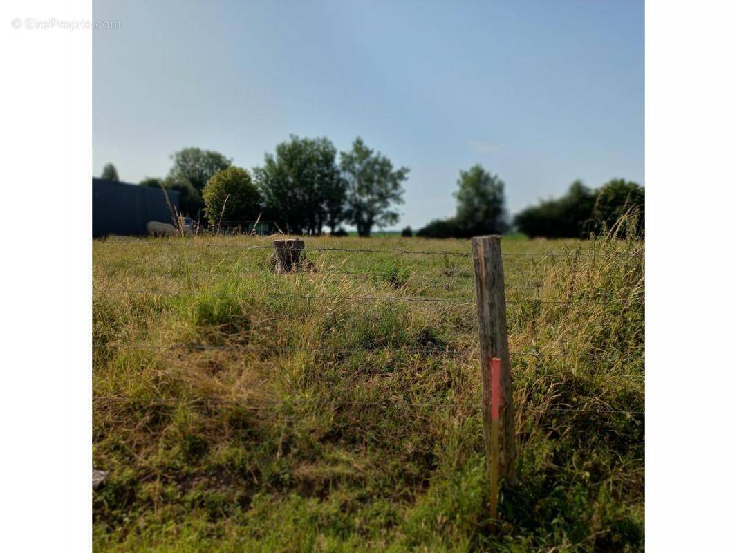 Terrain à FRESSIN