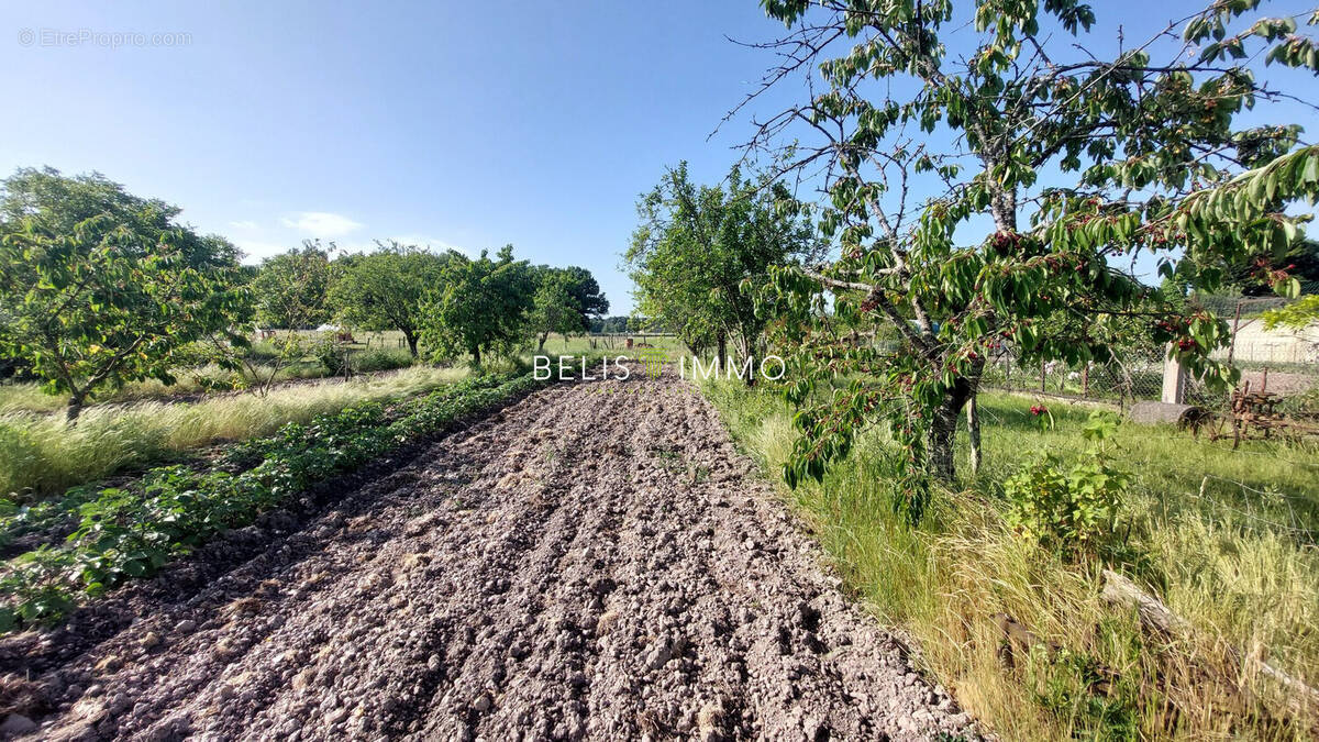Terrain à ARTANNES-SUR-INDRE