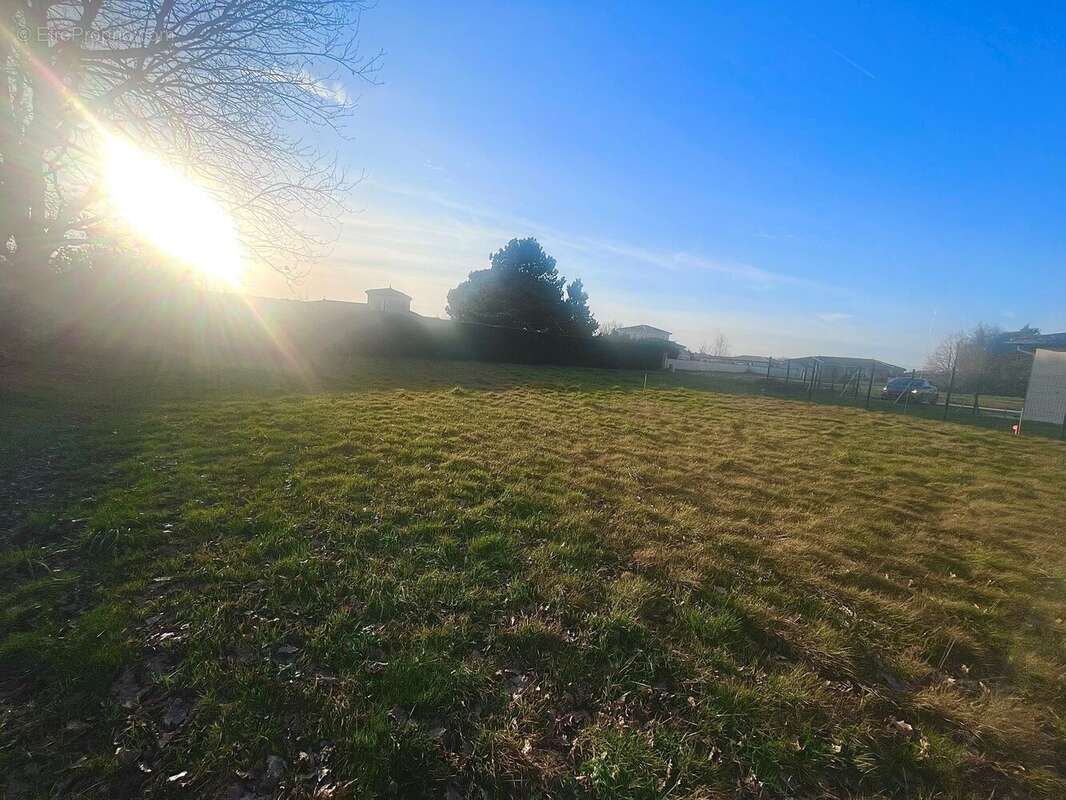 Terrain à BRESSOLS