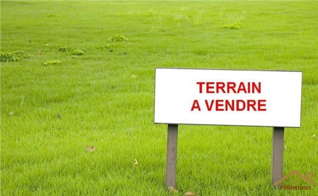 Terrain à SAINT-LAURENT-DES-ARBRES