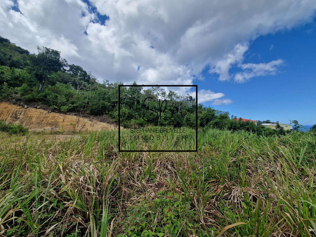 Terrain à LES TROIS-ILETS