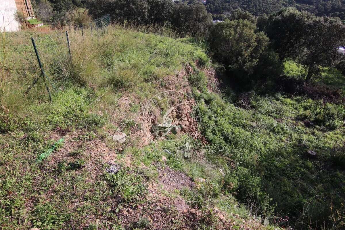 Terrain à LES ISSAMBRES