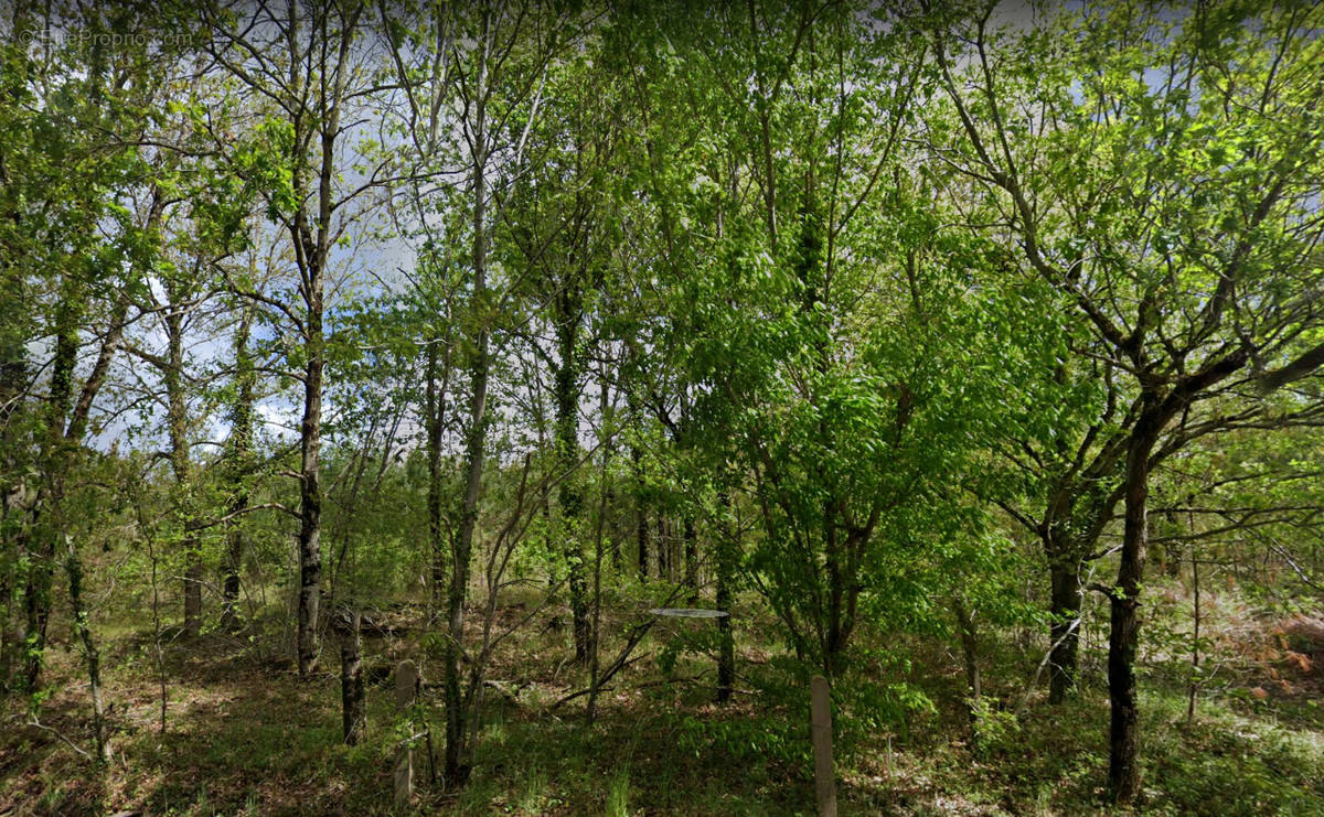 Terrain à MOUSTEY