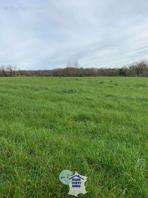Terrain à SAINT-FRAIMBAULT-DE-PRIERES