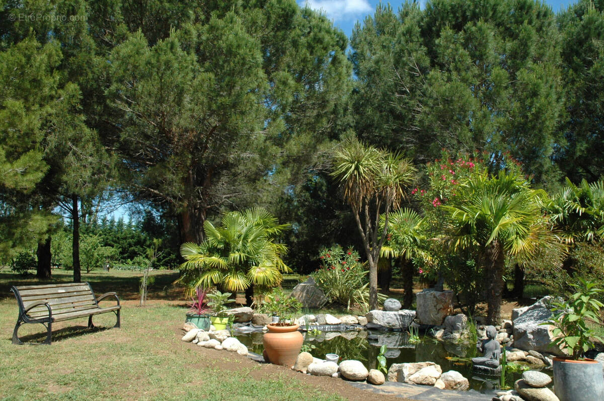 Maison à LAROQUE-DES-ALBERES