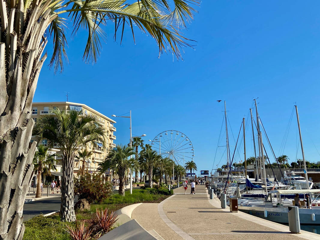 Commerce à SAINT-RAPHAEL