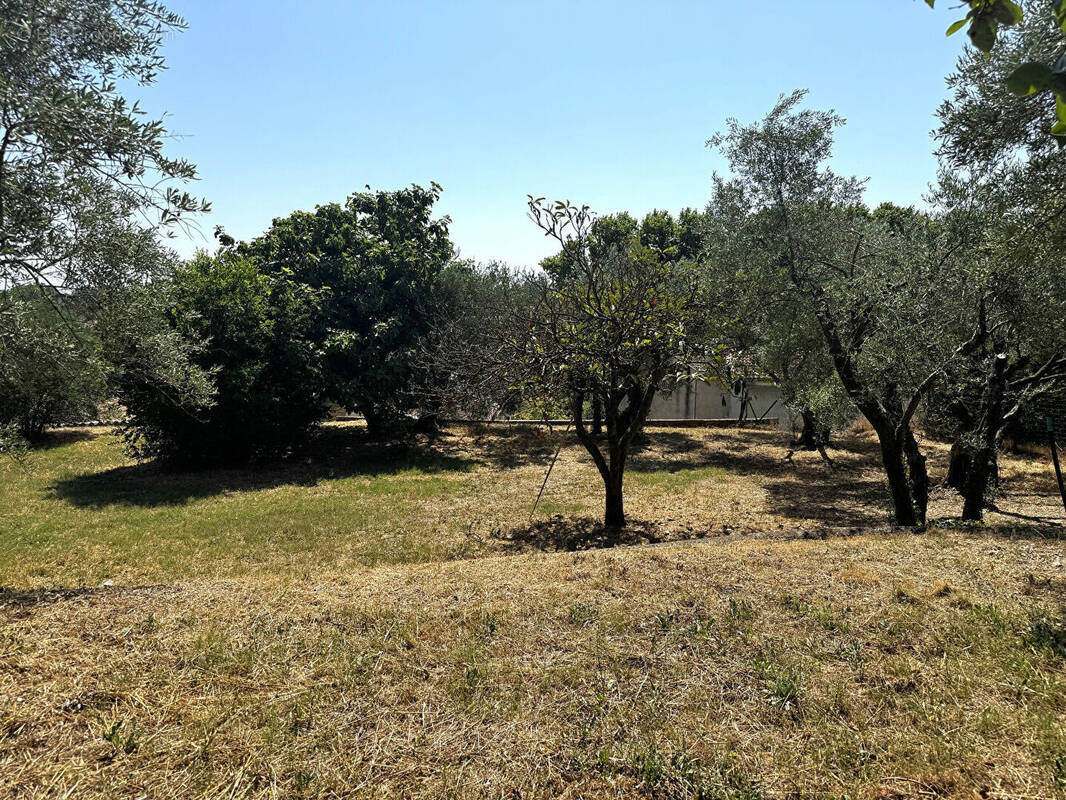 Terrain à SAUVETERRE