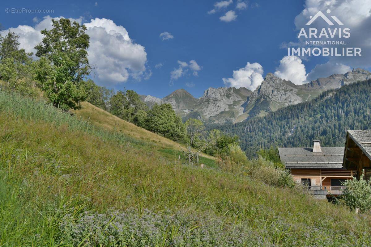 Terrain à LE GRAND-BORNAND