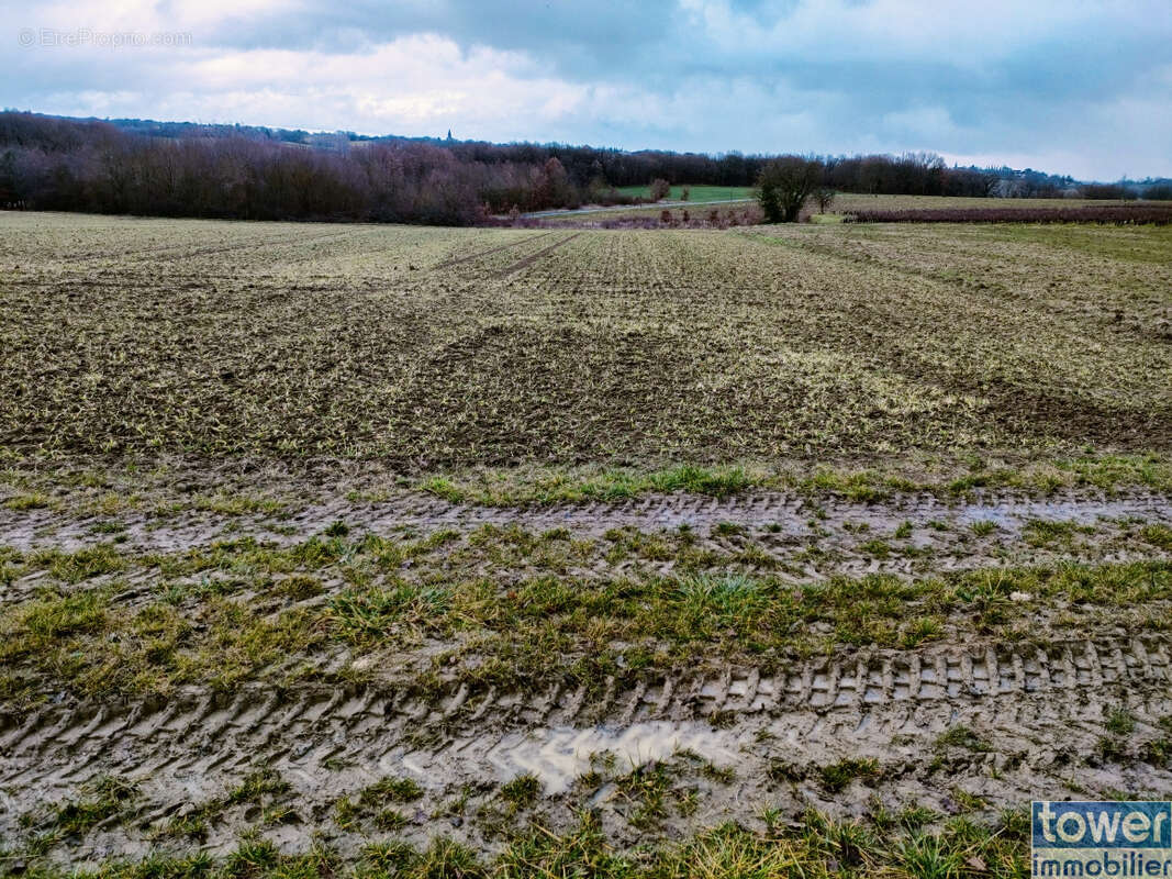 Terrain à GAILLAC