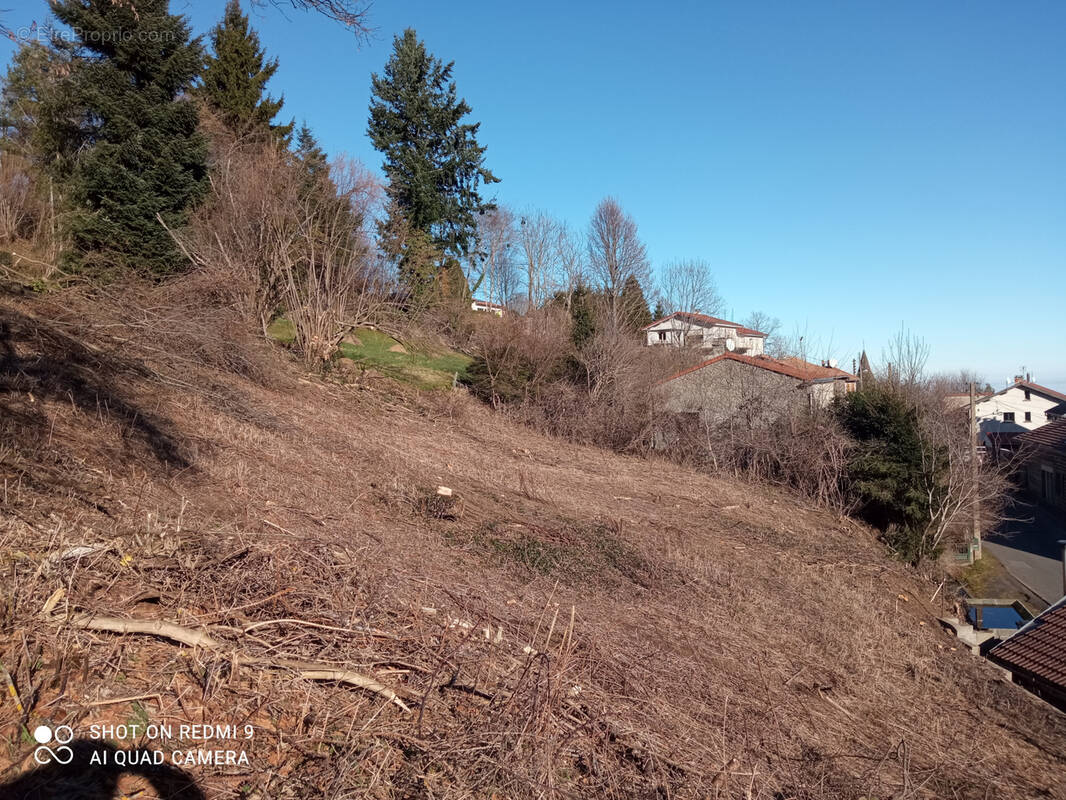 Terrain à ORCINES