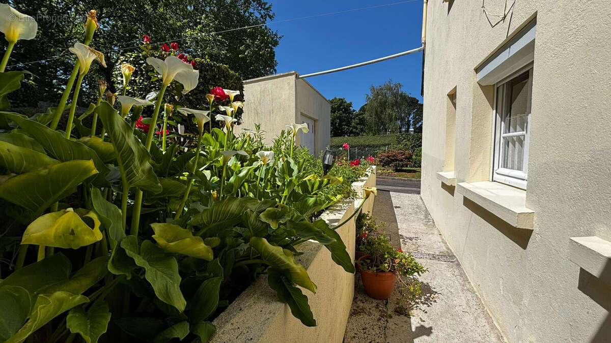 Maison à PONT-L&#039;ABBE
