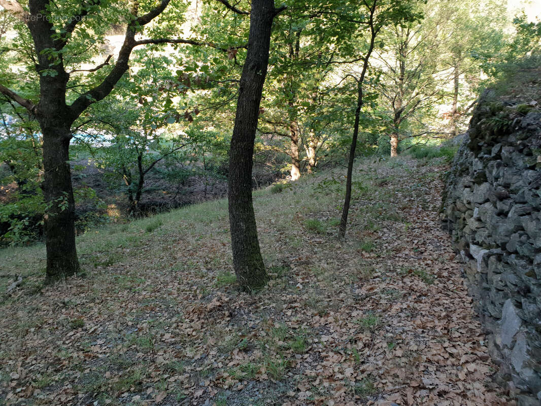 Terrain à OLARGUES