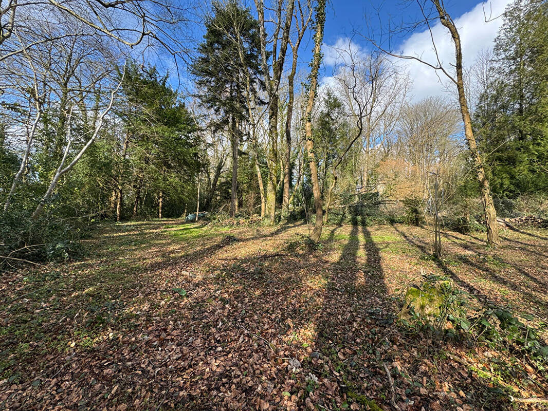 Terrain à CONDETTE