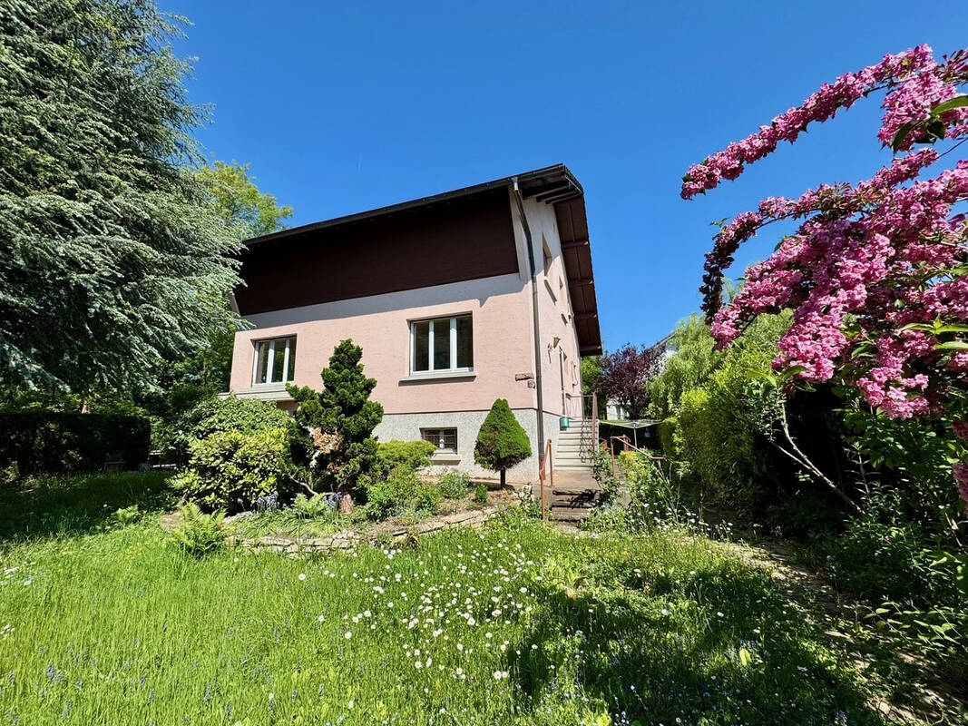 Maison à BELFORT
