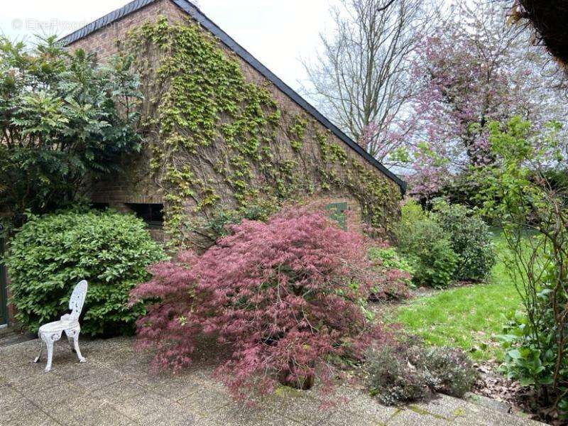 Maison à FREVENT