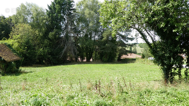 Terrain à CHATEAUNEUF-LA-FORET