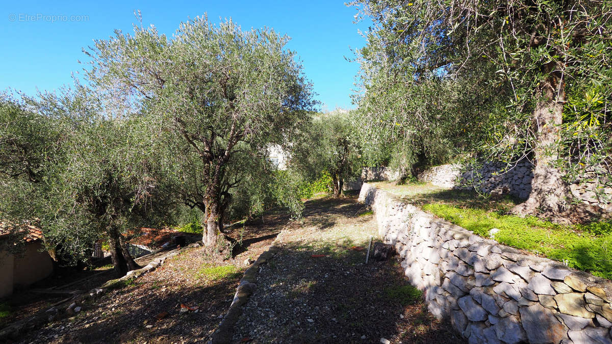 Terrain à EZE
