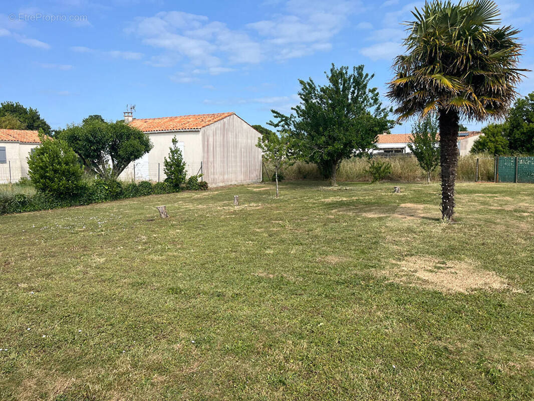 Terrain à SAINT-GEORGES-D&#039;OLERON