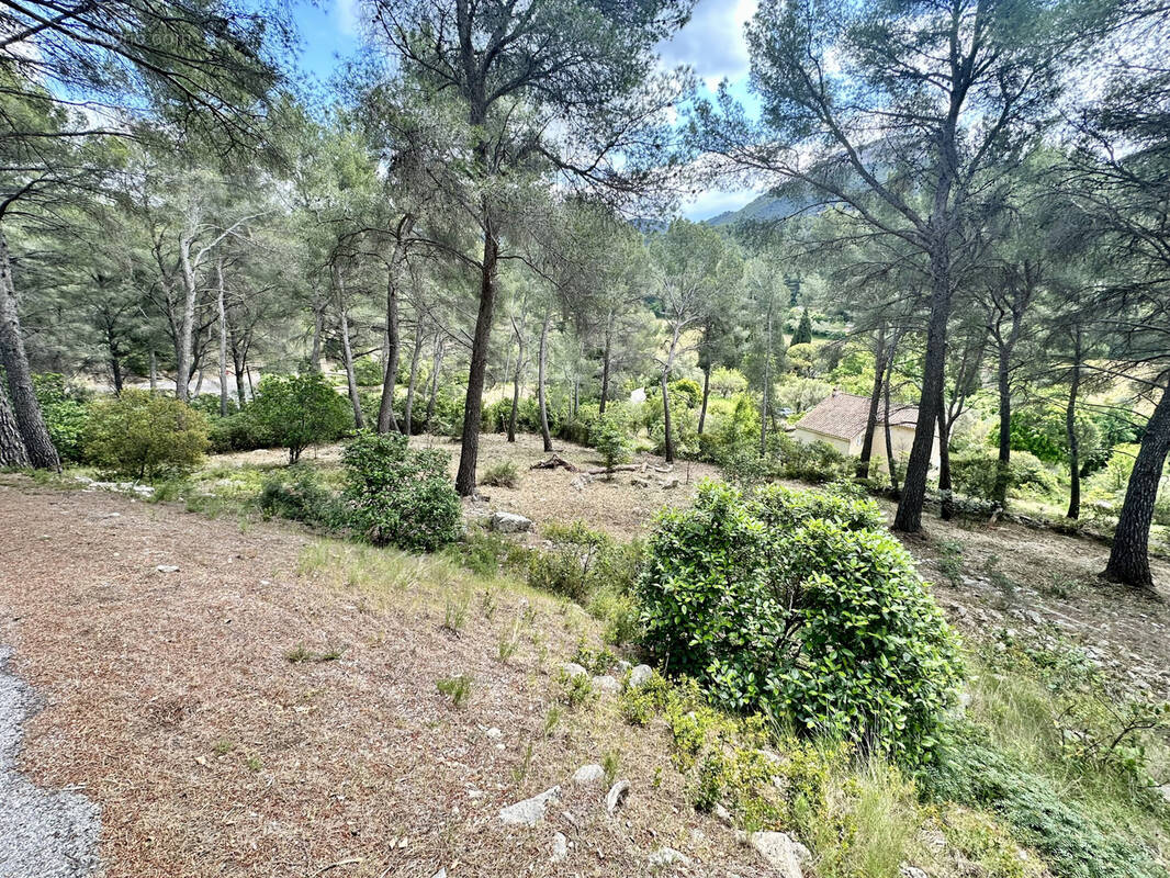 Terrain à CASSIS
