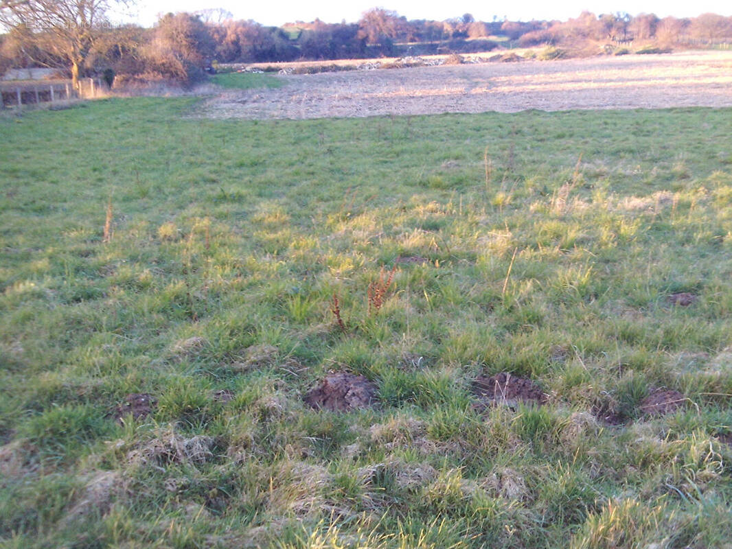 Terrain à CAMPAGNE-LES-HESDIN