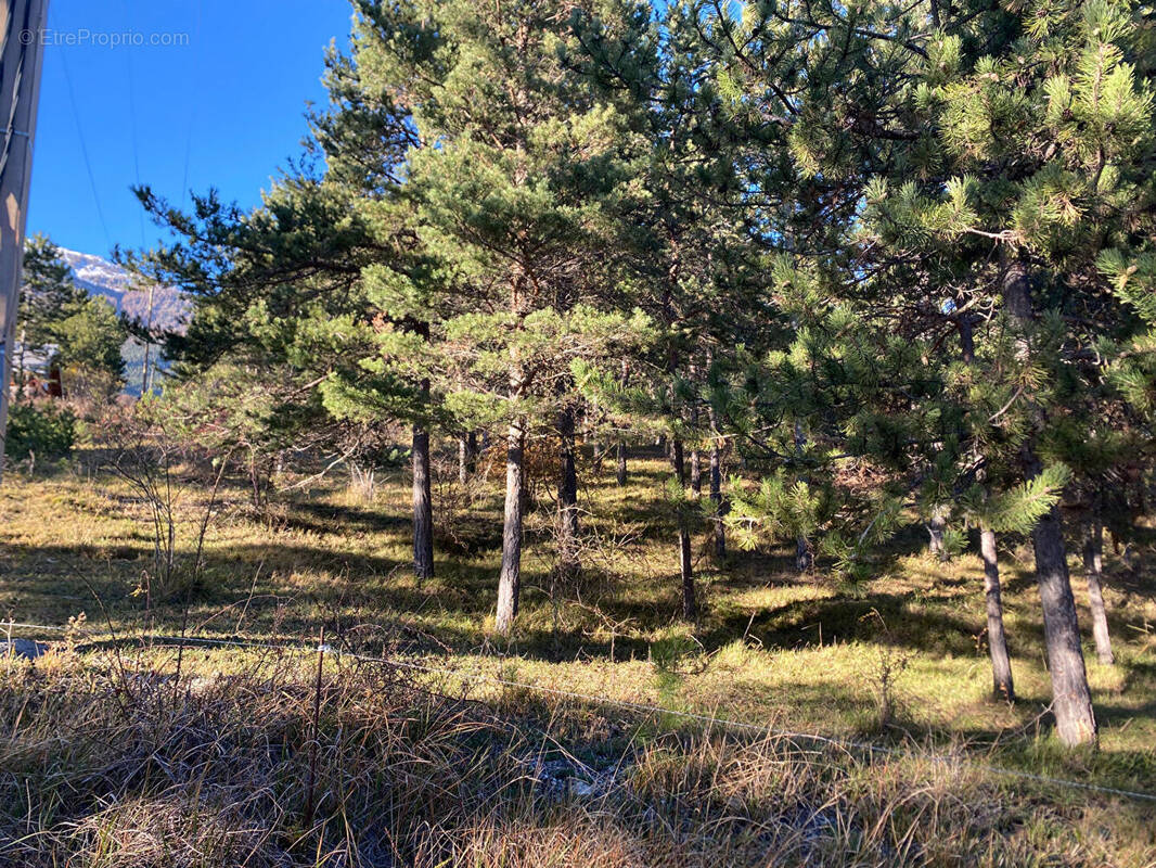 Terrain à EMBRUN