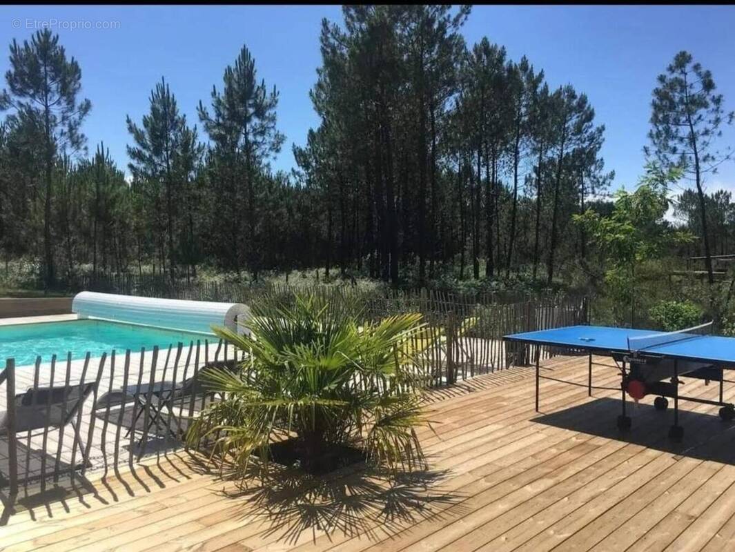 Photo 1 - Maison à TOSSE