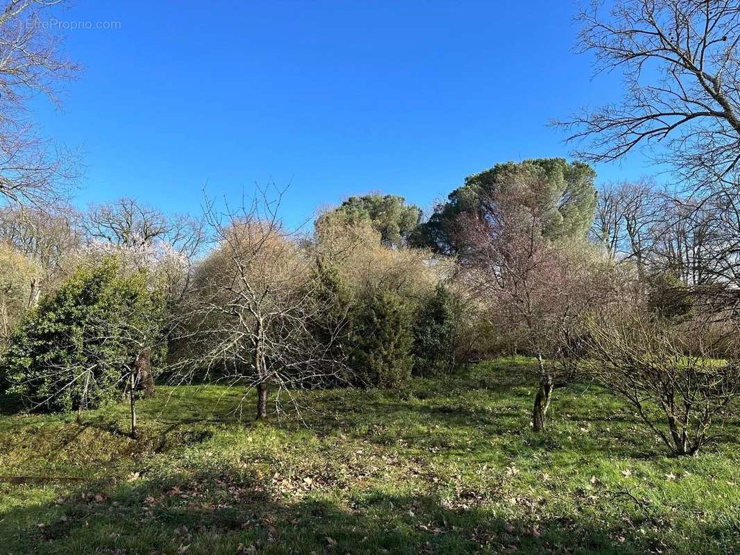 Terrain à CORNEBARRIEU