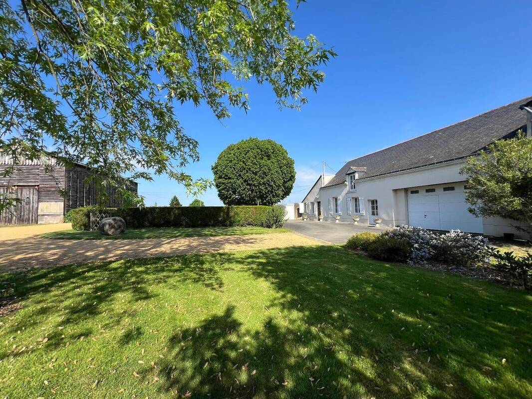   - Maison à SAINT-MELAINE-SUR-AUBANCE
